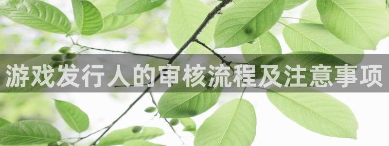 苏州pp电子网络科技有限公司：游戏发行人的审核流程及注意事项