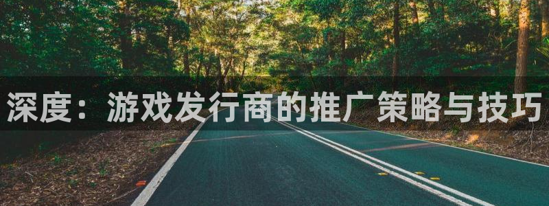pp电子官网注册方法视频教程：深度：游戏发行商的推广策略与技巧