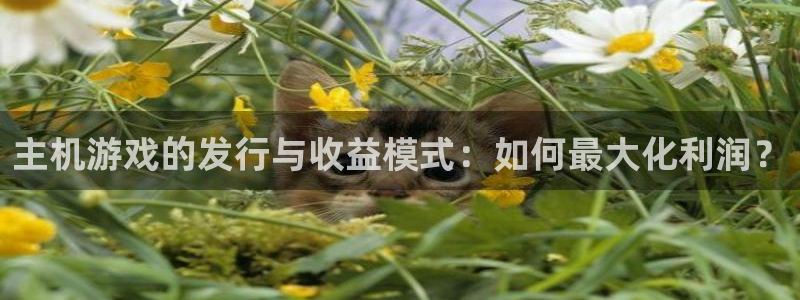重庆pp电子子文化传播有限公司：主机游戏的发行与收益模式：如何最大化利润？
