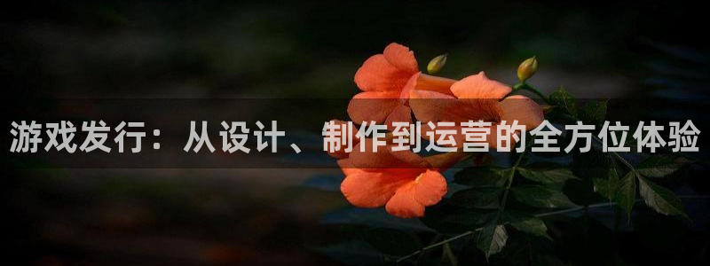 pp电子子招聘：游戏发行：从设计、制作到运营的全方位体验