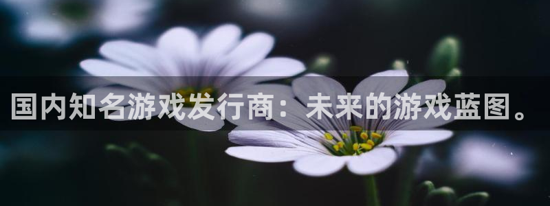 pp电子官网平台代理开号怎么开