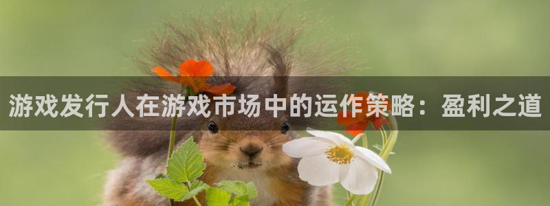 pp电子官网平台怎么样知乎：游戏发行人在游戏市场中的运作策略：盈利之道