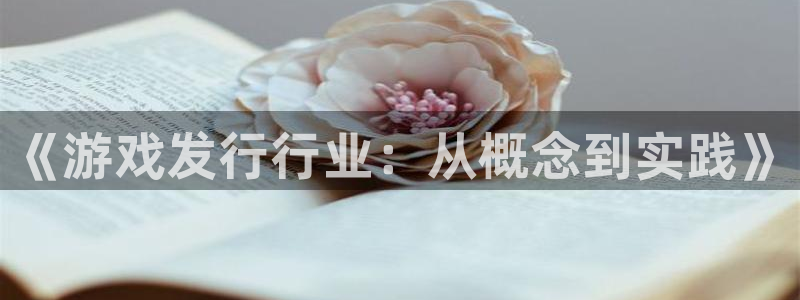 pp电子官网注册方法有哪些呢：《游戏发行行业：从概念到实践》