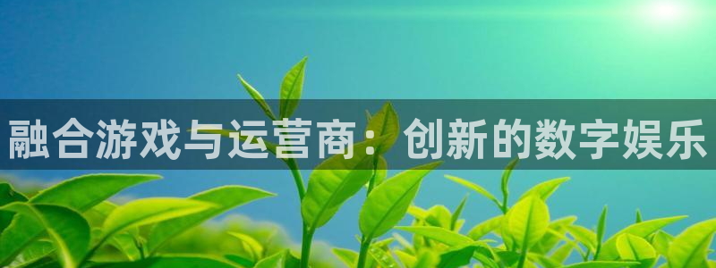 pp电子官网登录注册不了：融合游戏与运营商：创新的数字娱乐