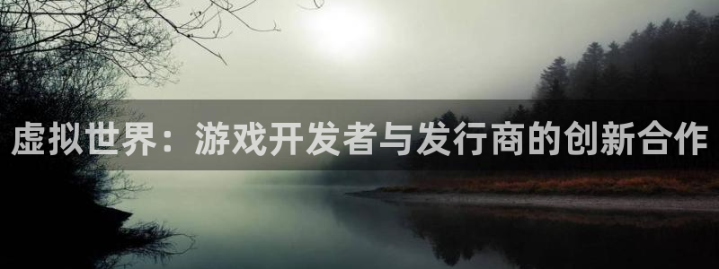 lvncespp电子衣服价格：虚拟世界：游戏开发者与发行商的创新合作