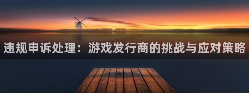 深圳pp电子电商：违规申诉处理：游戏发行商的挑战与应对策略