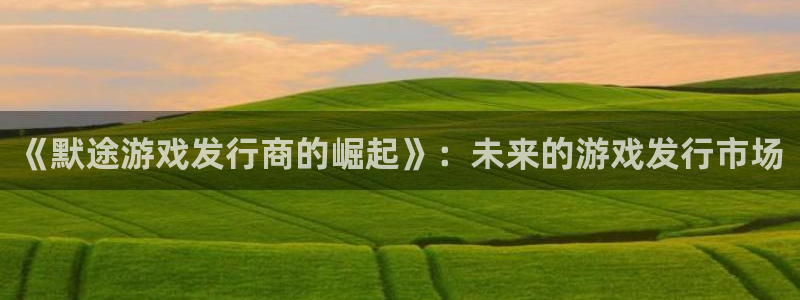 pp电子是什么品牌