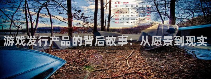 pp电子官网登录注册账号安全吗可靠吗：游戏发行产品的背后故事：从愿景到现实