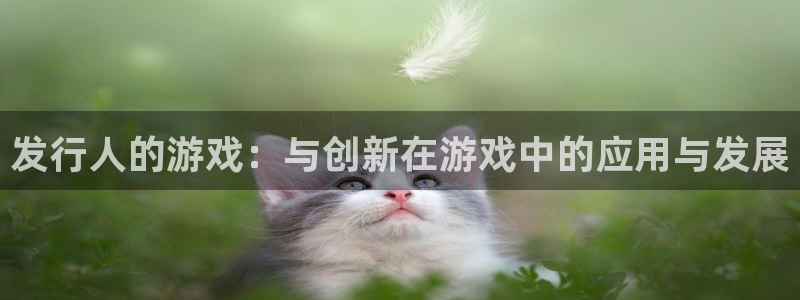 陕西pp电子子文化创意有限公司有什么游戏
