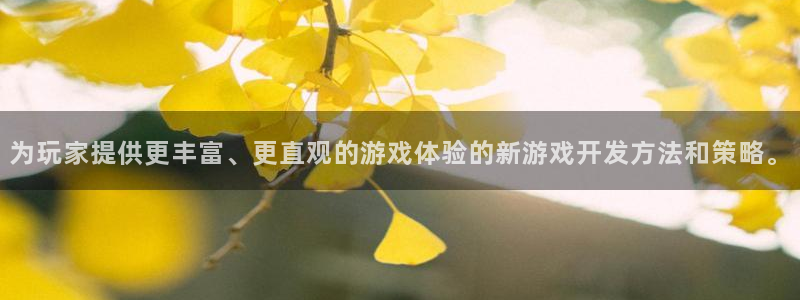 pp电子品牌策划公司