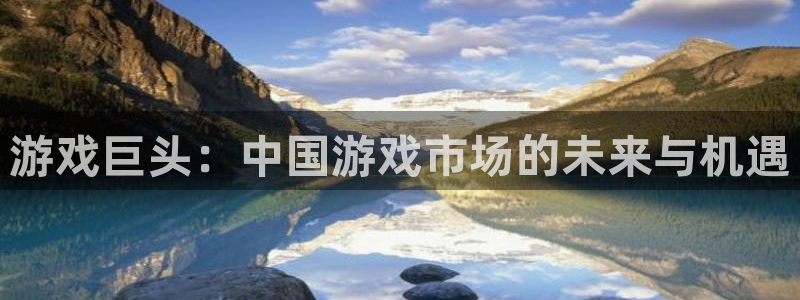 pp电子品牌：游戏巨头：中国游戏市场的未来与机遇
