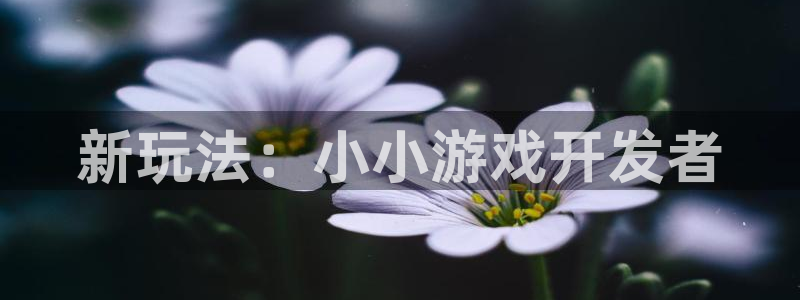pp电子官网游戏怎么注册：新玩法：小小游戏开发者