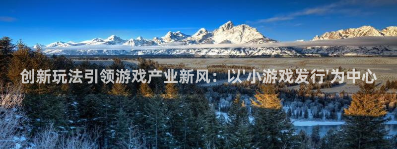 江苏pp电子人力资源有限公司怎么样：创新玩法引领游戏产业新风：以\'小游戏发行\'为中心