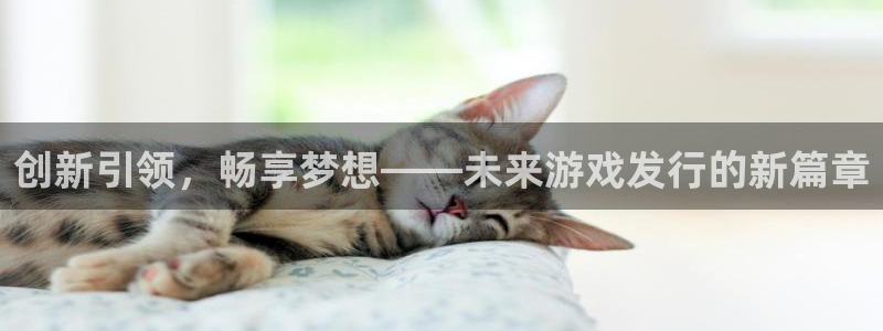 pp电子集团有限公司：创新引领，畅享梦想——未来游戏发行的新篇章