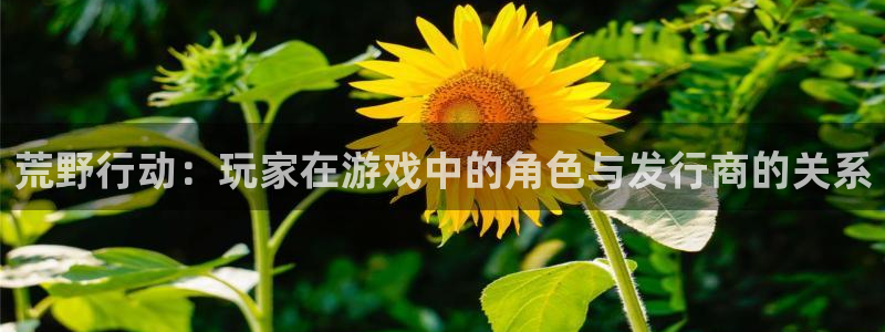 pp电子涂料(北京)有限公司：荒野行动：玩家在游戏中的角色与发行商的关系