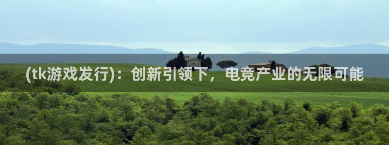 pp电子技术有限公司：(tk游戏发行)：创新引领下，电竞产业的无限可能