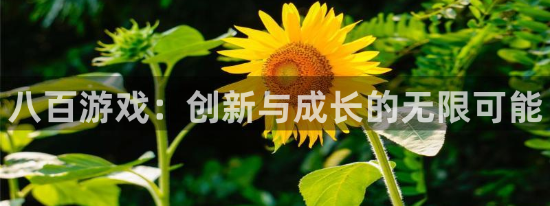 pp电子品牌服装