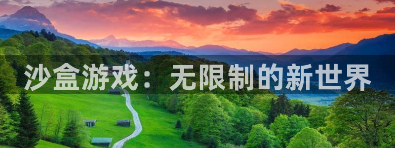 pp电子子写作课：沙盒游戏：无限制的新世界