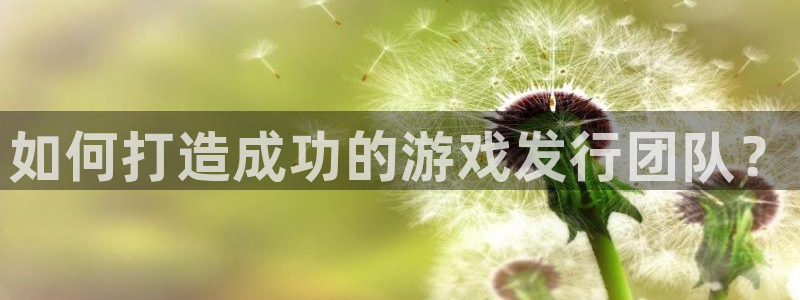 pp电子子文化是什么