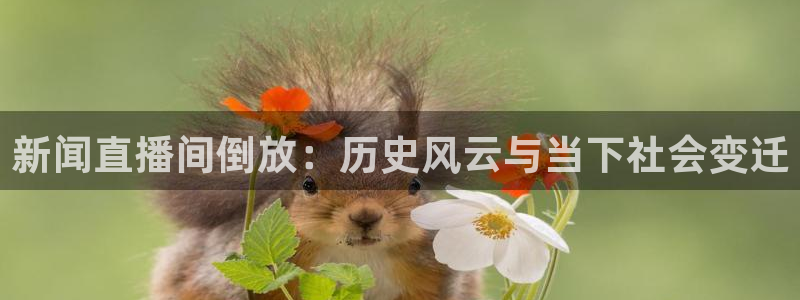 飞速直播体育在线：新闻直播间倒放：历史风云与当下社会变迁