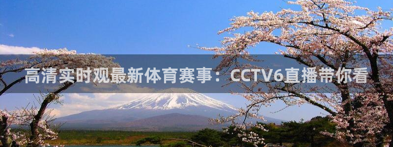 飞速体育nba无插件直播：高清实时观最新体育赛事：CCTV6直播带你看