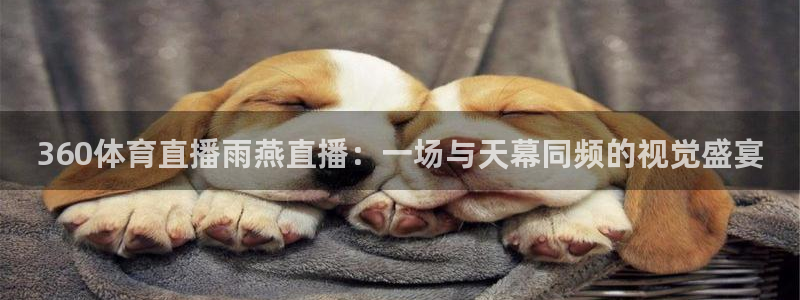 飞速直播nba直播吧：360体育直播雨燕直播：一场与天幕同频的视觉盛宴