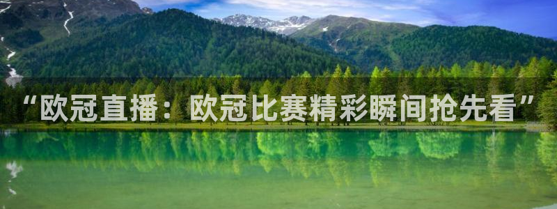 飞速直播篮球直播：“欧冠直播：欧冠比赛精彩瞬间抢先看”