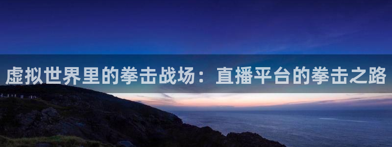 飞速看球直播：虚拟世界里的拳击战场：直播平台的拳击之路