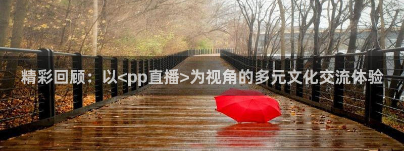 nba在线观看免费观看飞速直播：精彩回顾：以<pp直播>为视角的多元文化交流体验