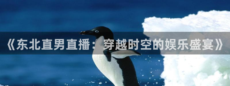 飞速体育nba直播在线：《东北直男直播：穿越时空的娱乐盛宴》