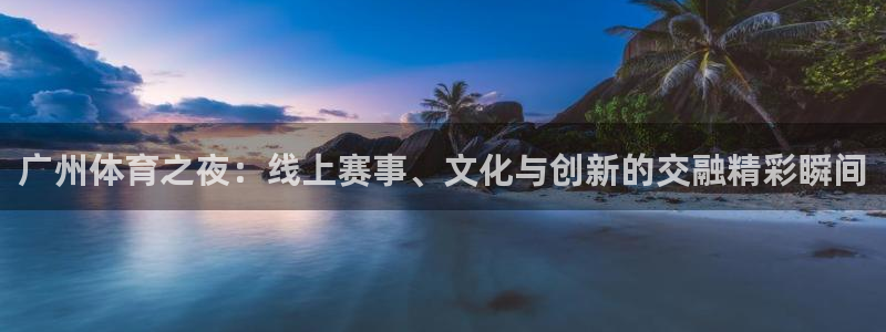 飞速体育直播免费观看：广州体育之夜：线上赛事、文化与创新的交融精彩瞬间