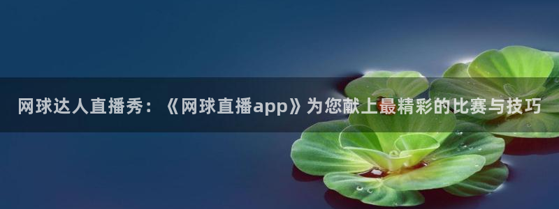 飞速体育在线直播观看：网球达人直播秀：《网球直播app》为您献上最精彩的比赛与技巧