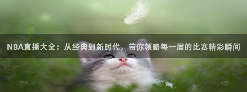 飞速直播直播：NBA直播大全：从经典到新时代，带你领略每一届的比赛精彩瞬间